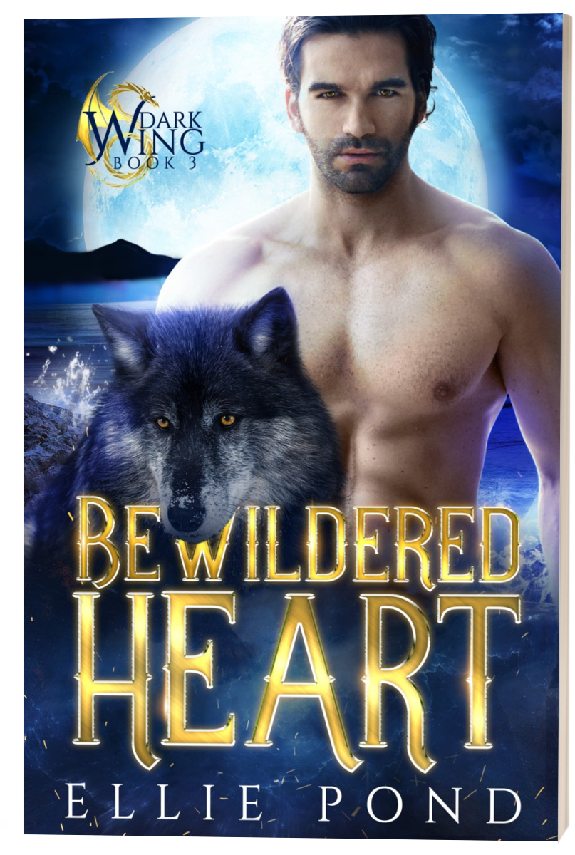 Bewildered Heart Paperback