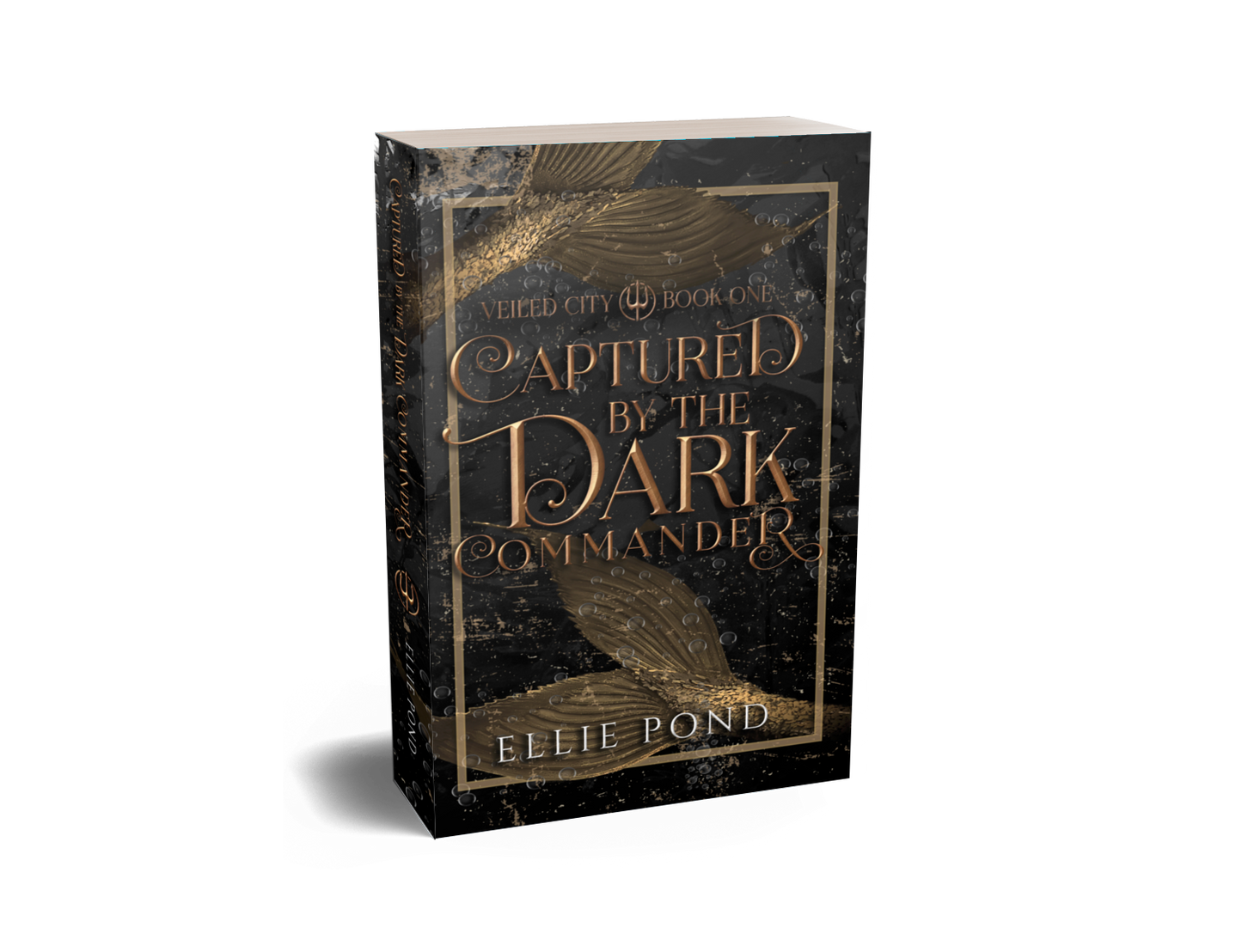 Captured by the Dark Commander Paperback - Discreet Cover