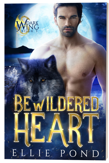 Bewildered Heart Paperback