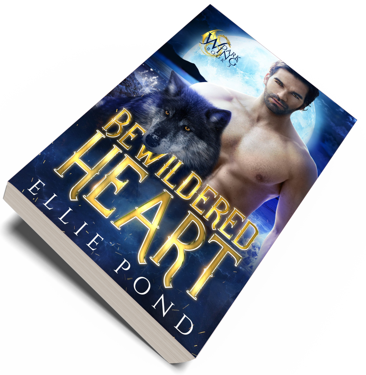 Bewildered Heart Paperback