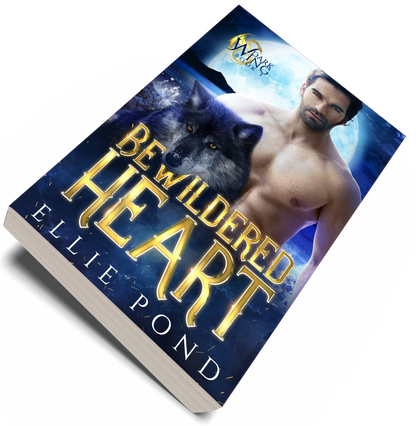 Bewildered Heart Paperback