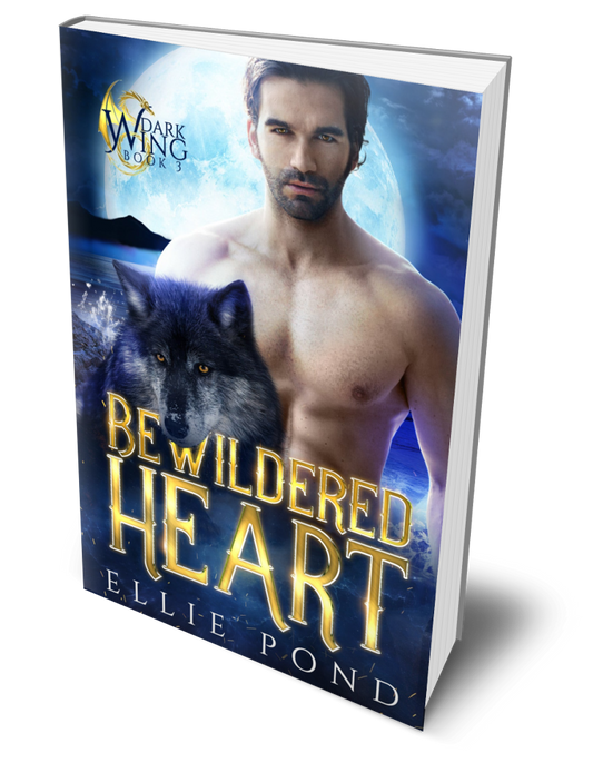Bewildered Heart Paperback