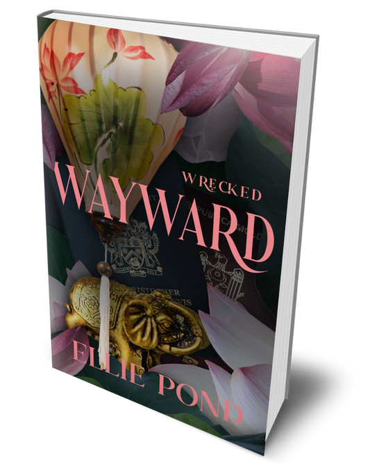 Wayward Discreet Cover Paperback