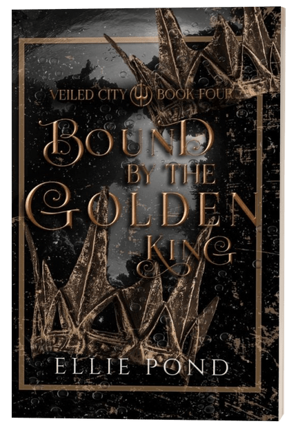 Veiled City Paperback Bundle - Discreet Cover