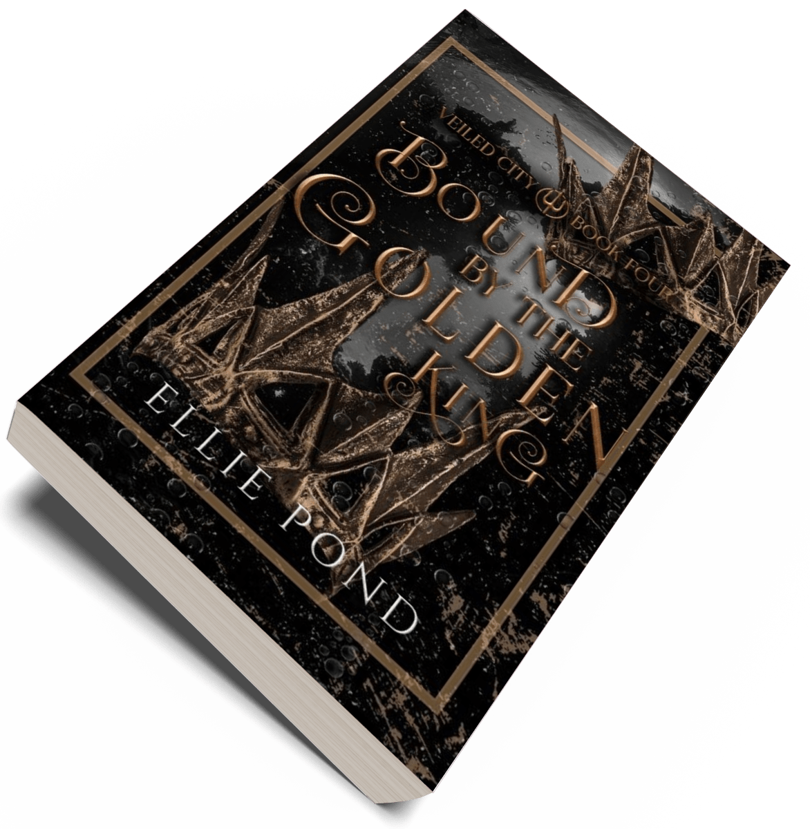 Veiled City Paperback Bundle - Discreet Cover
