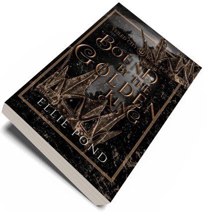 Veiled City Paperback Bundle - Discreet Cover