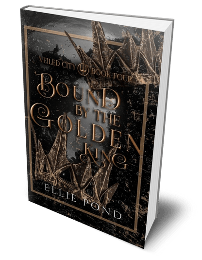 Veiled City Paperback Bundle - Discreet Cover