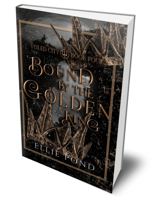 Bound by the Golden King Paperback - Discreet Cover
