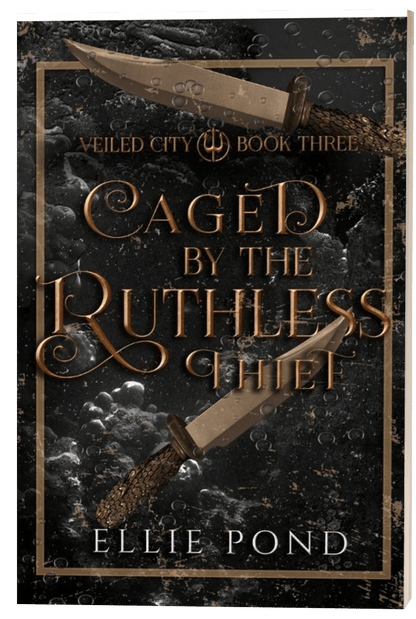 Veiled City Paperback Bundle - Discreet Cover