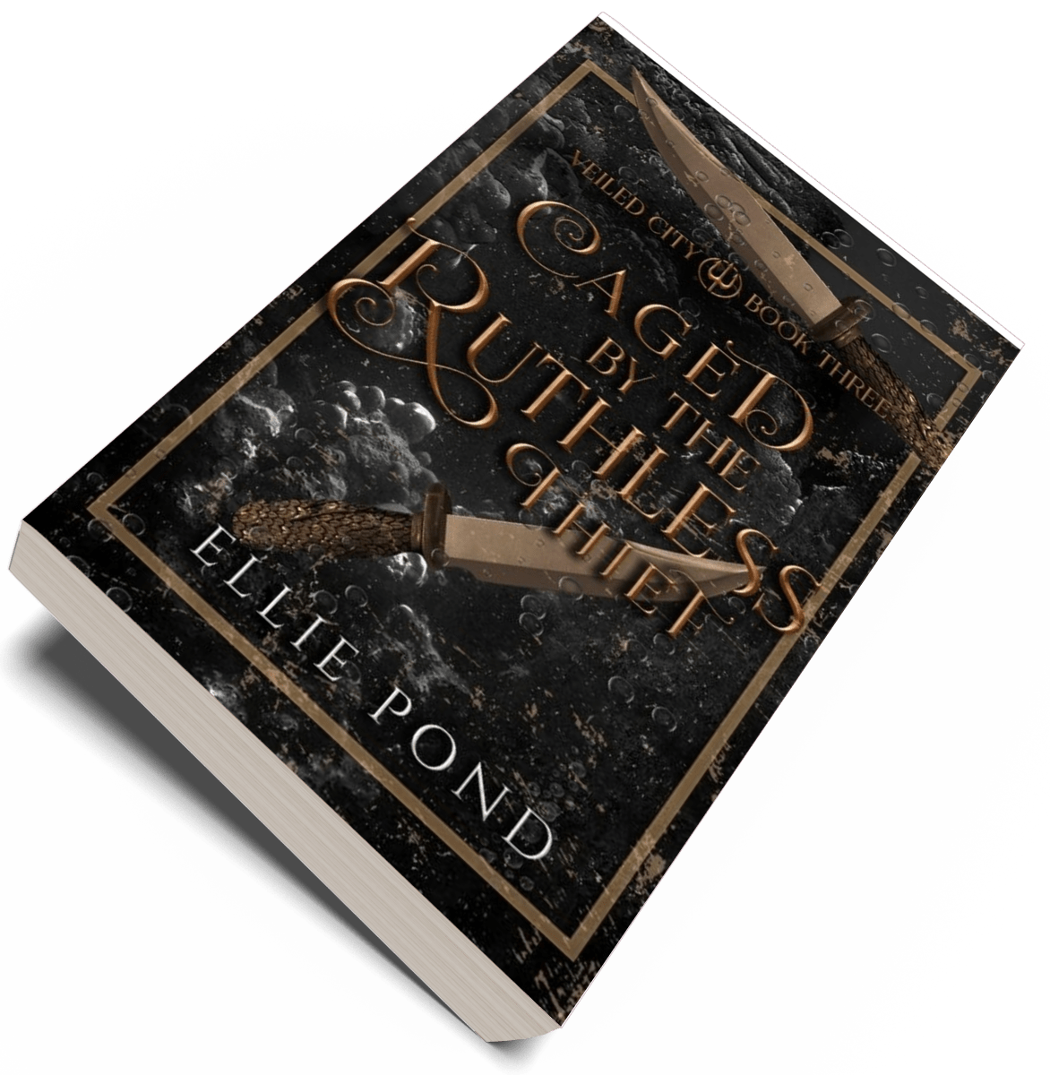 Veiled City Paperback Bundle - Discreet Cover