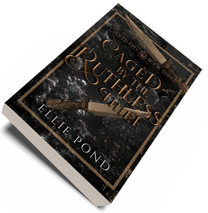 Veiled City Paperback Bundle - Discreet Cover