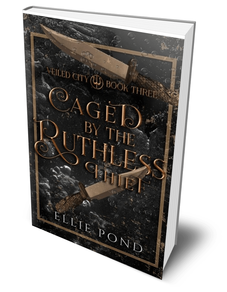 Veiled City Paperback Bundle - Discreet Cover