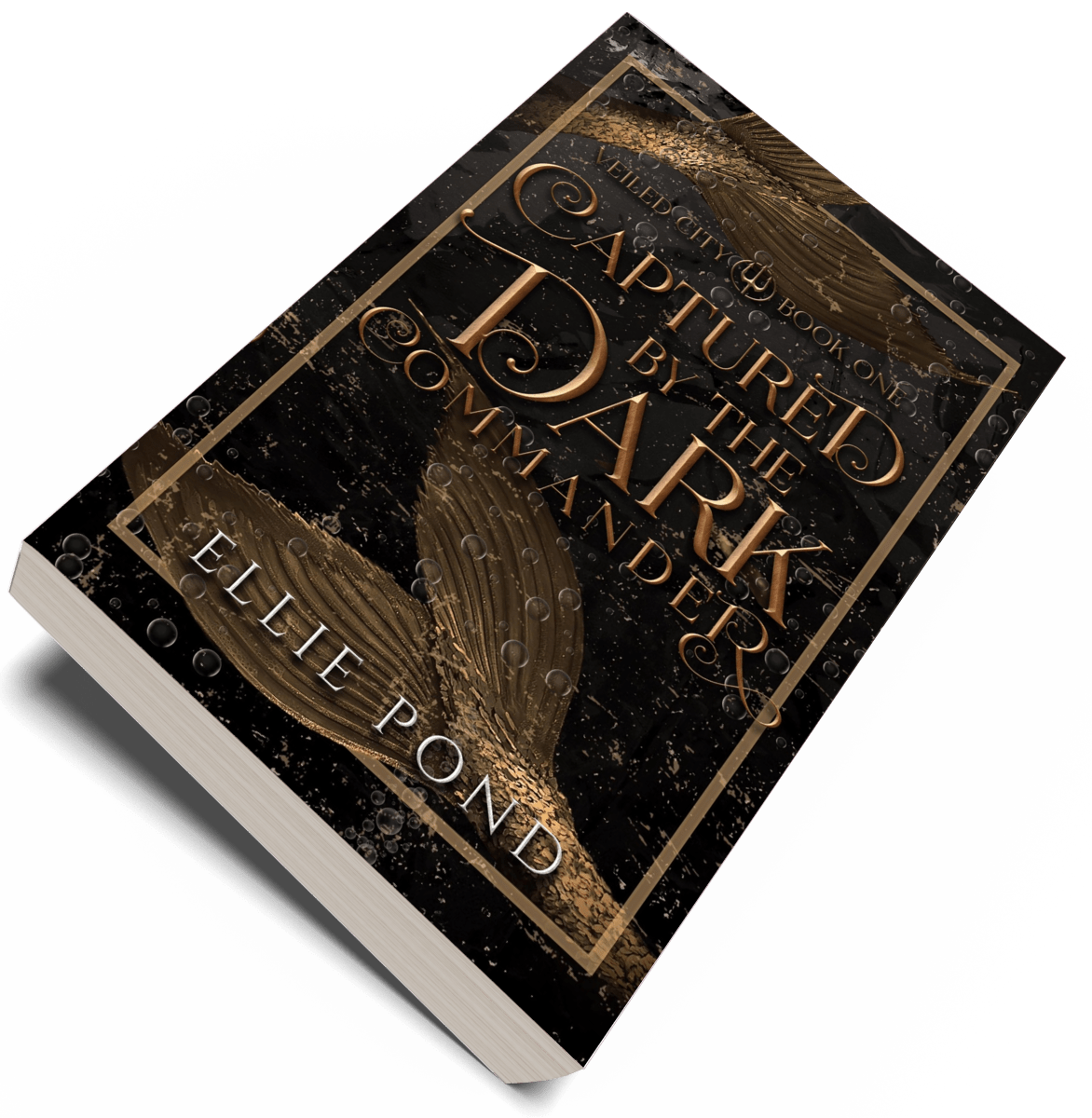 Veiled City Paperback Bundle - Discreet Cover