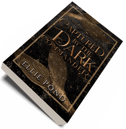 Veiled City Paperback Bundle - Discreet Cover