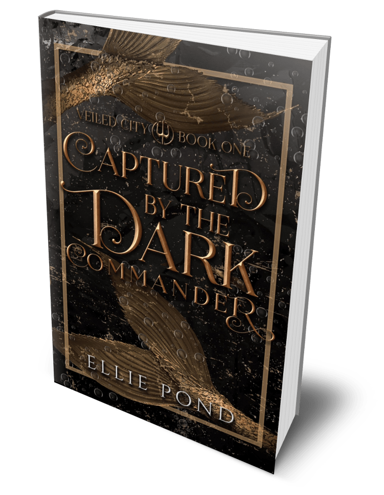 Veiled City Paperback Bundle - Discreet Cover