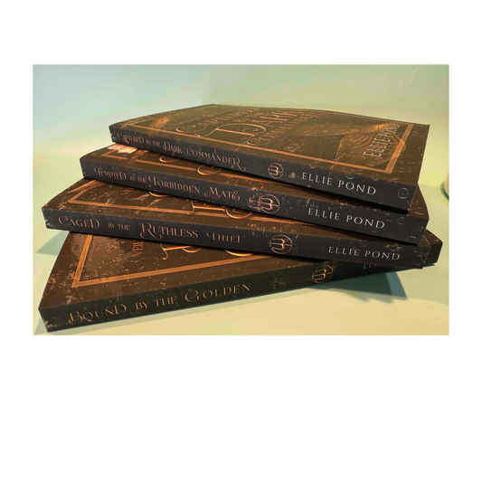 Veiled City Paperback Bundle - Discreet Cover