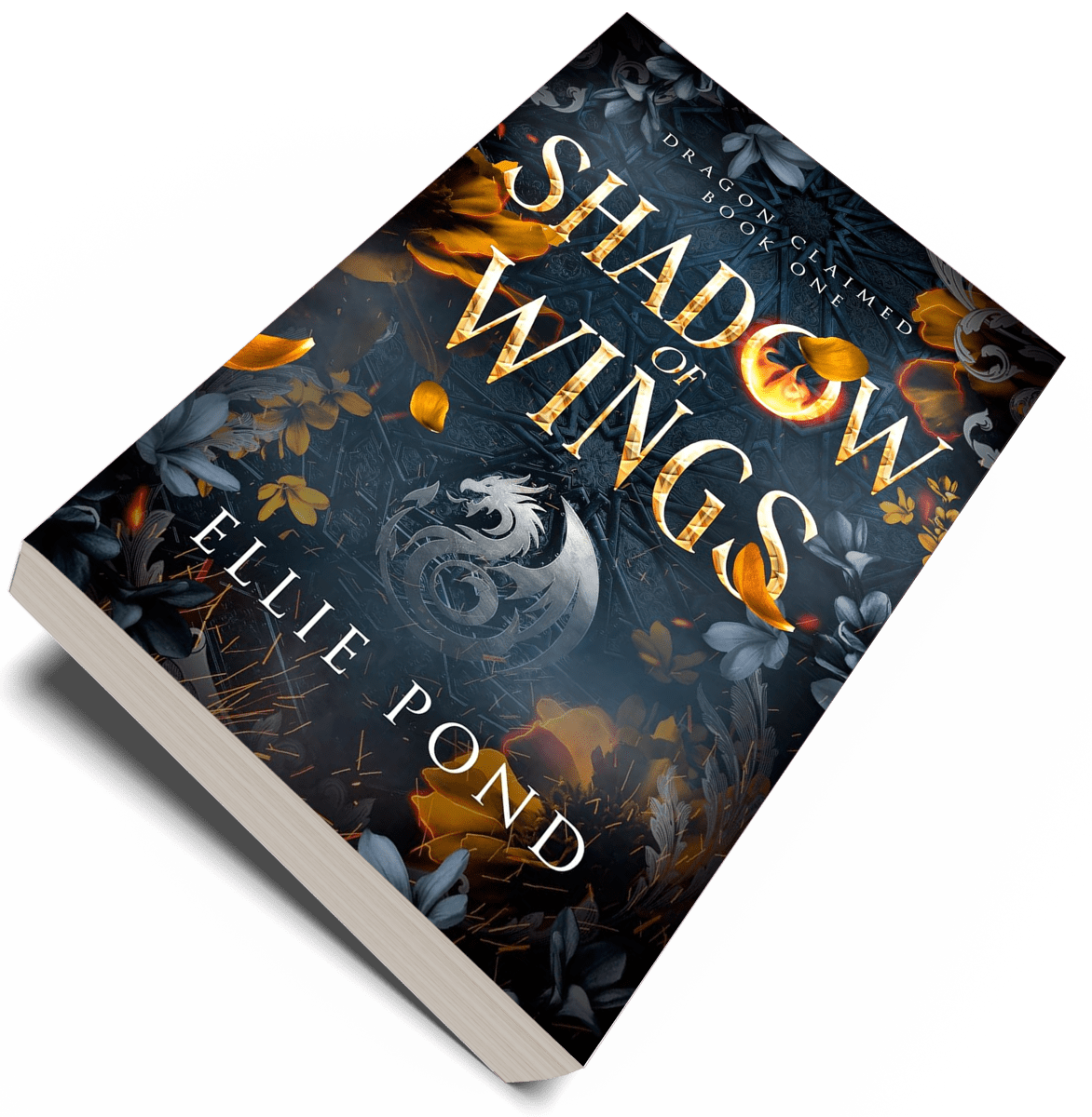 Shadow of Wings Paperback