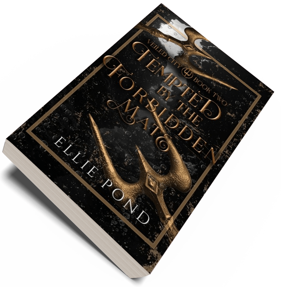 Veiled City Paperback Bundle - Discreet Cover