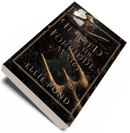 Veiled City Paperback Bundle - Discreet Cover