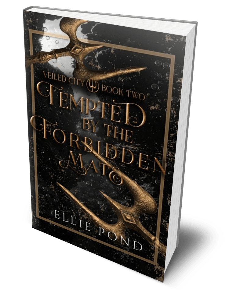 Veiled City Paperback Bundle - Discreet Cover
