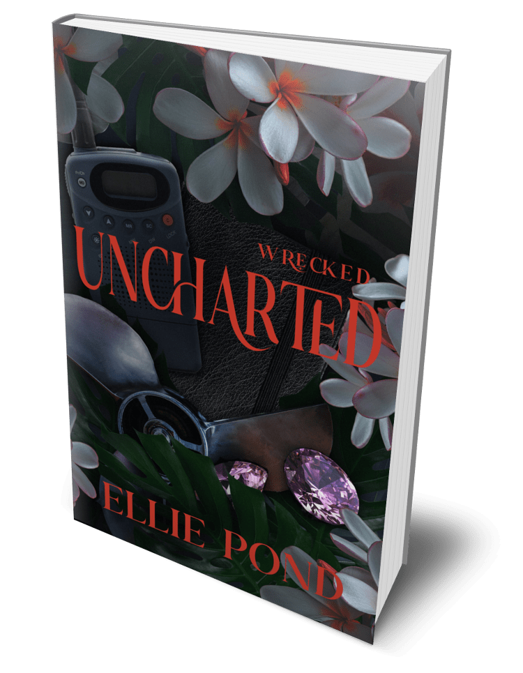 Preorder Uncharted - Discreet Cover